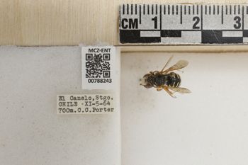 Media type: image;   Entomology 788243 Aspect: Labels